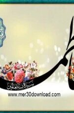 دانلود آهنگ حسرت با صدای حامد جلیلی