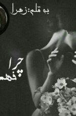 دانلود رمان چرا فهمید دانلود رمان چرا فهمید