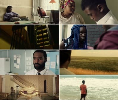 دانلود فیلم The Last Tree 2019 آخرین درخت