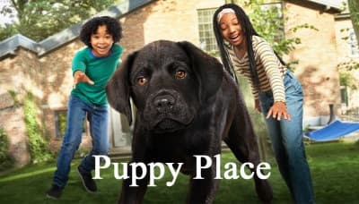 سریال Puppy Place خانه ای برای سگ ها